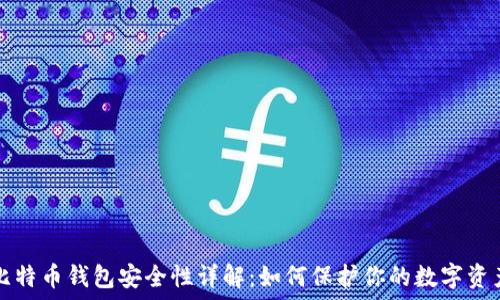 比特币钱包安全性详解:如何保护你的数字资产