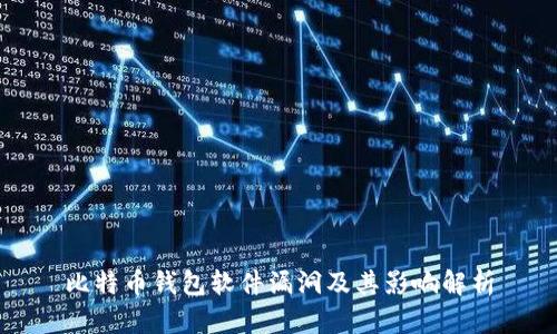 比特币钱包软件漏洞及其影响解析