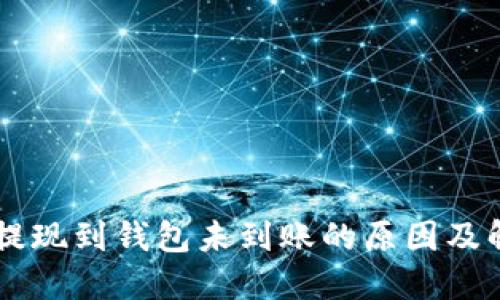 : USDT提现到钱包未到账的原因及解决方案