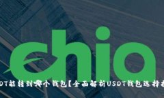 USDT能转到哪个钱包？全面