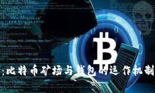 深入解析：比特币矿场与钱包的运作机制及其影响