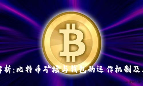 深入解析：比特币矿场与钱包的运作机制及其影响