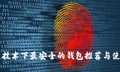 区块链技术下最安全的钱包推荐与使用指南