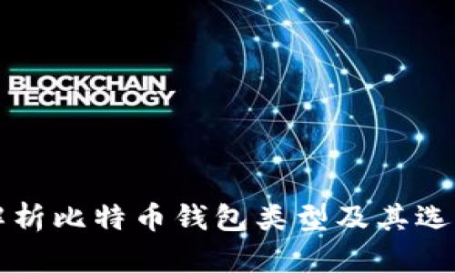 全面解析比特币钱包类型及其选择指南