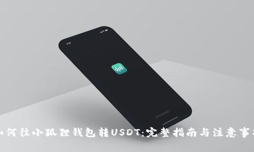 如何往小狐狸钱包转USDT：完整指南与注意事项