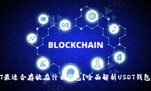 USDT最适合存放在什么钱包？全面解析USDT钱包选择