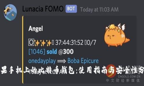 苹果手机上的比特币钱包：使用指南与安全性分析