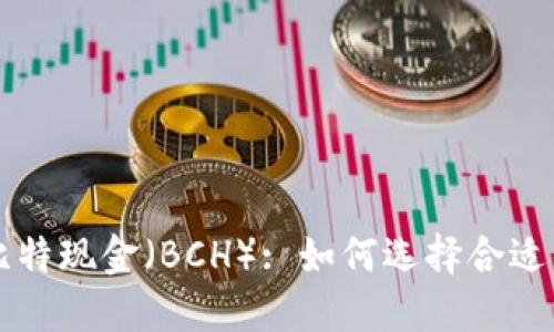 以太坊钱包支持比特现金（BCH）: 如何选择合适的钱包和使用指南