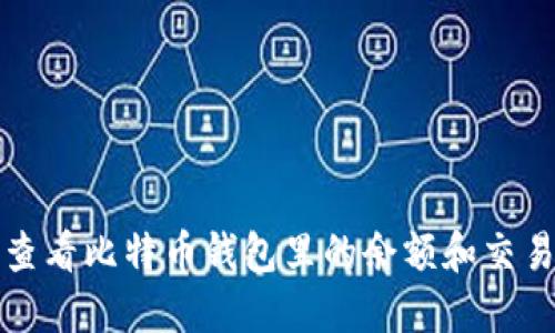 如何查看比特币钱包里的余额和交易记录