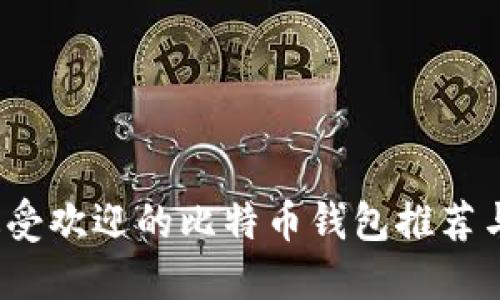 2023年最受欢迎的比特币钱包推荐与使用指南
