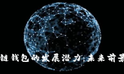 区块链钱包的发展潜力：未来前景解析