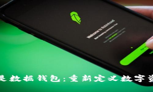 区块链的出口是数据钱包：重新定义数字资产管理与安全