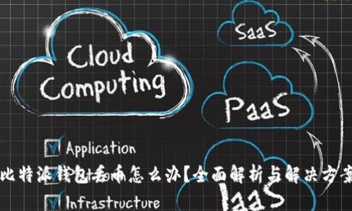 比特派钱包丢币怎么办？全面解析与解决方案