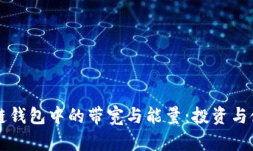 深入了解区块链钱包中的带宽与能量：投资与使用的全面指南