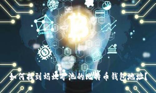 如何找到蚂蚁矿池的比特币钱包地址？