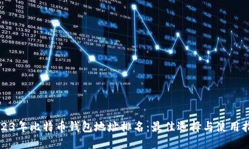 2023年比特币钱包地址排名：最佳选择与使用指南