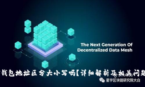 USDT钱包地址区分大小写吗？详细解析及相关问题探讨