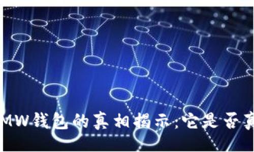 br
区块链GMW钱包的真相揭示：它是否真的骗局？