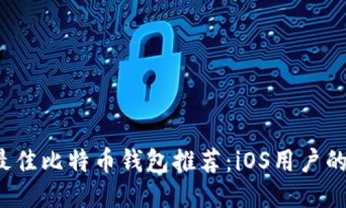 2017年最佳比特币钱包推荐：iOS用户的终极指南