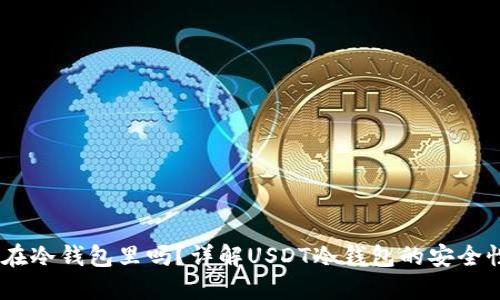 USDT可以放在冷钱包里吗？详解USDT冷钱包的安全性与使用方法