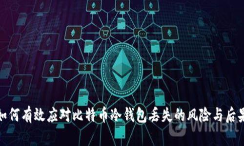 如何有效应对比特币冷钱包丢失的风险与后果