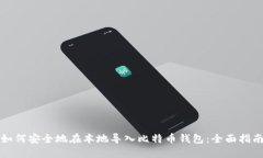如何安全地在本地导入比特币钱包：全面指南