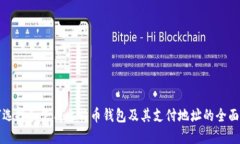 如何选择和使用比特币钱包及其支付地址的全面