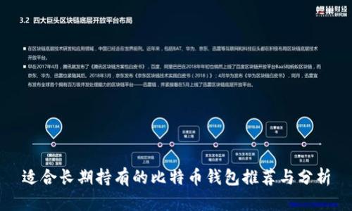 适合长期持有的比特币钱包推荐与分析