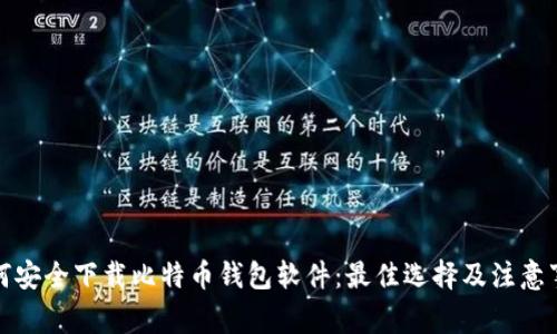 如何安全下载比特币钱包软件：最佳选择及注意事项