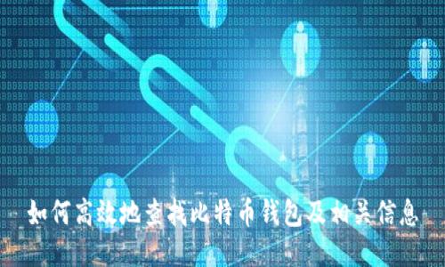 如何高效地查找比特币钱包及相关信息
