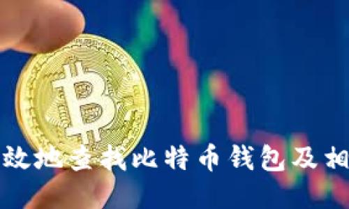 如何高效地查找比特币钱包及相关信息