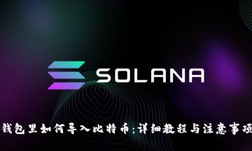钱包里如何导入比特币：详细教程与注意事项