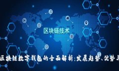 美国区块链数字钱包的全