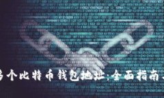 如何管理多个比特币钱包