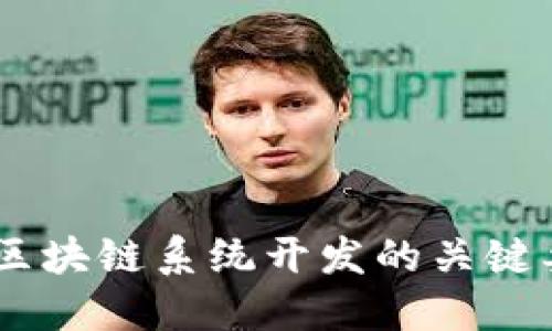 完整指南：钱包区块链系统开发的关键要素与实施步骤