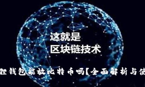 : 小狐狸钱包能放比特币吗？全面解析与使用指南