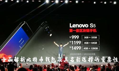 全面解析比特币钱包及其名称选择的重要性