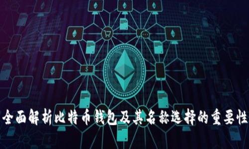 全面解析比特币钱包及其名称选择的重要性
