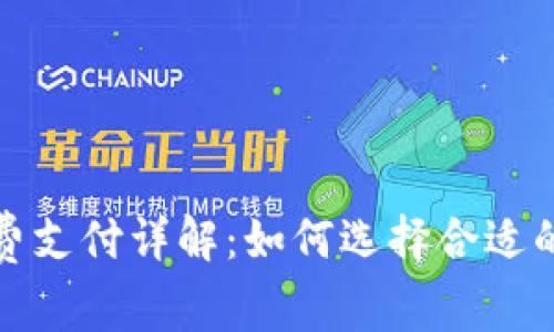 TP钱包矿工费支付详解：如何选择合适的费用与策略