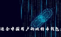 如何选择适合中国用户的