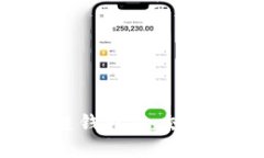 如何查询区块链钱包的交易记录：全面指南