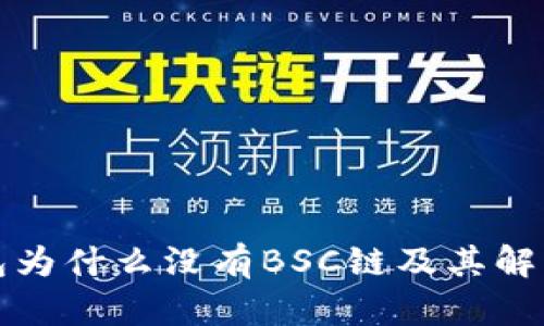 TP钱包为什么没有BSC链及其解决方案