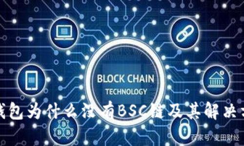 TP钱包为什么没有BSC链及其解决方案