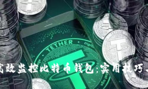 如何高效监控比特币钱包：实用技巧与工具