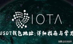 如何设置USDT钱包地址：详细指南与常见问题解答