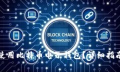 如何安全下载和使用比特币电子钱包？详细指南