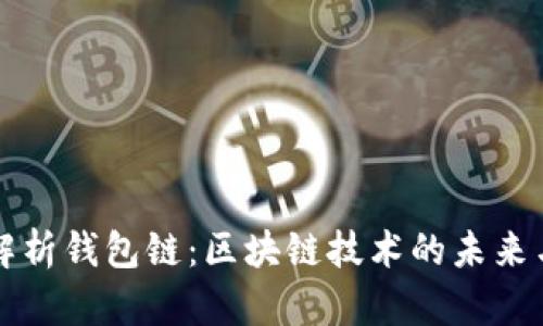 全面解析钱包链：区块链技术的未来与应用