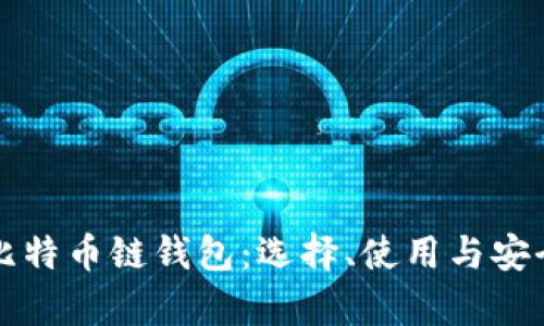 深入探索比特币链钱包：选择、使用与安全性全解析